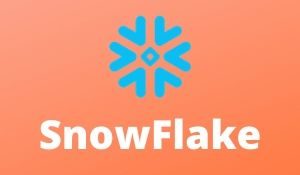 Snowflake Self Training