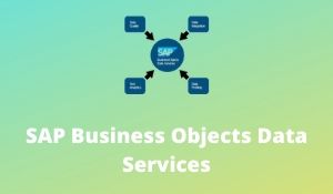 SAP Business Object Data Services