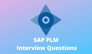 SAP PLM Interview Questions