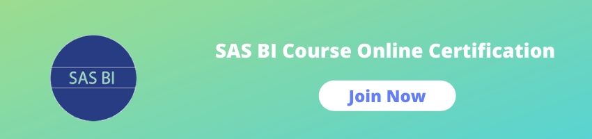 SAS BI Online Training