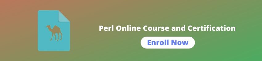 Perl Online Training