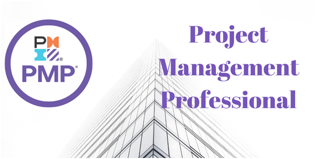 Project Management Professional