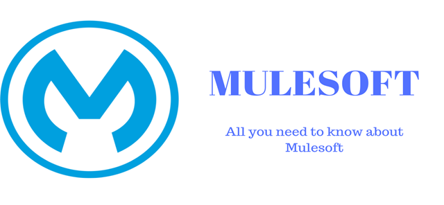 Mulesoft Tutorial image