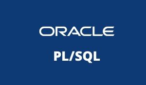 PLSQL Training