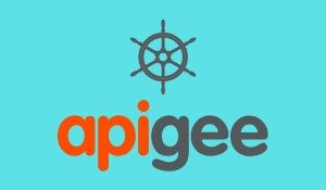 Apigee Self-faced Training