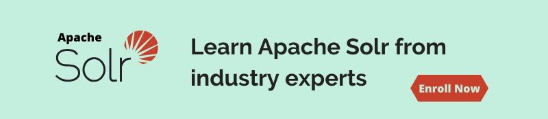 Apache Solr Training
