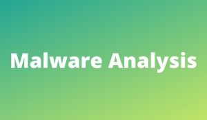Malware Analysis course