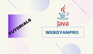 Java WEBDYNPRO