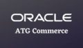 Oracle ATG Web Commerce Guide - GoLogica