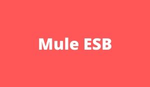 Mule ESB