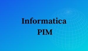 Informatica PIM Training