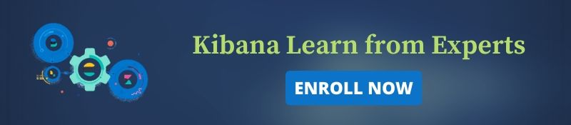 Kibana training