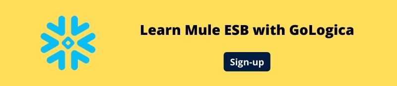 Mule ESB Training