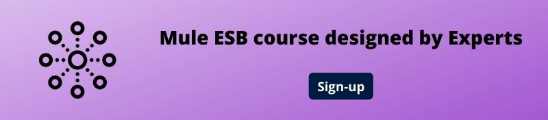 Mule ESB Course