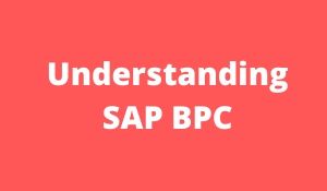 SAP BPC article