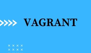 Vagrant