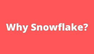 Snowflake article