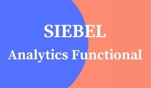 SIEBEL Analytics Functional