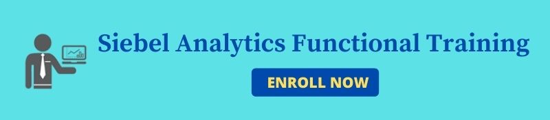 SIEBEL ANALYTICS FUNCTIONAL COURSE