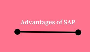 Advantages of SAP