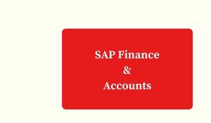 SAP Finance & Accounts