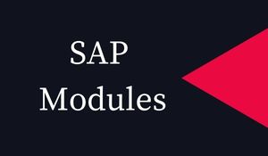 SAP Modules