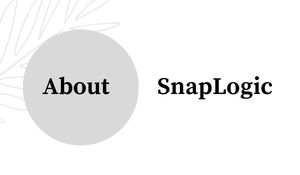 SnapLogic Training