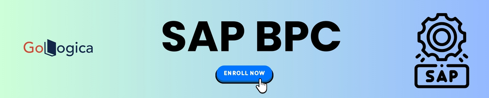 SAP BPC