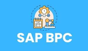 Top SAP BPC Interview Questions and Answers for 2025