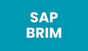 SAP BRIM Interview Questions for Freshers and Experienced