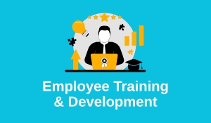 How to Employee Training & Development in 2025