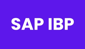 Advanced SAP IBP Topics: Questions and Answers for Experienced Users