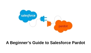 A Beginner’s Guide to Salesforce Pardot