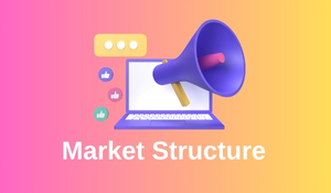How important is Market Structure: Definition, Types, Features, and Fluctuations