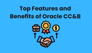 Top Features and Benefits of Oracle CC&B