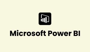 Microsoft Power BI