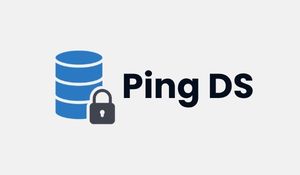 PingDS Training
