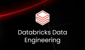 Databricks Data Engineering with AI Training