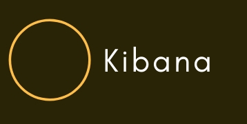 Kibana Training