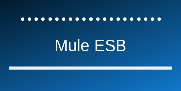 Mule ESB Training