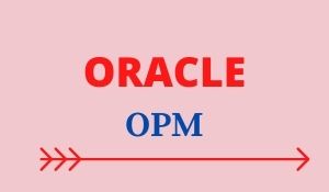 Oracle OPM Training