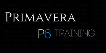 Primavera P6 Training