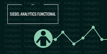 SIEBEL ANALYTICS FUNCTIONAL TRAINING